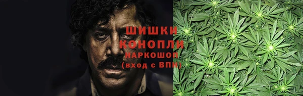 ПСИЛОЦИБИНОВЫЕ ГРИБЫ Няндома