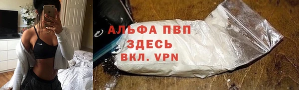 ПСИЛОЦИБИНОВЫЕ ГРИБЫ Няндома