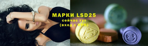 ПСИЛОЦИБИНОВЫЕ ГРИБЫ Няндома