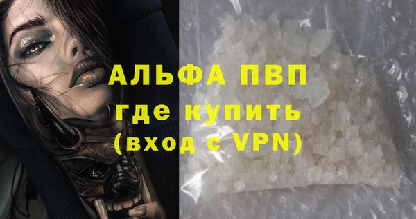 ПСИЛОЦИБИНОВЫЕ ГРИБЫ Няндома