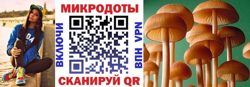 Галлюциногенные грибы Psilocybe  Россошь 