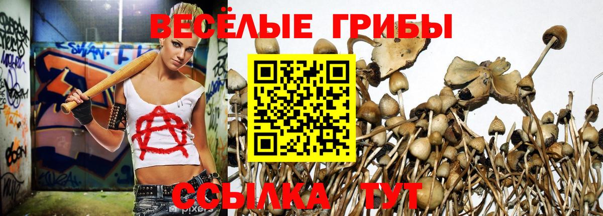 Галлюциногенные грибы прущие грибы Россошь